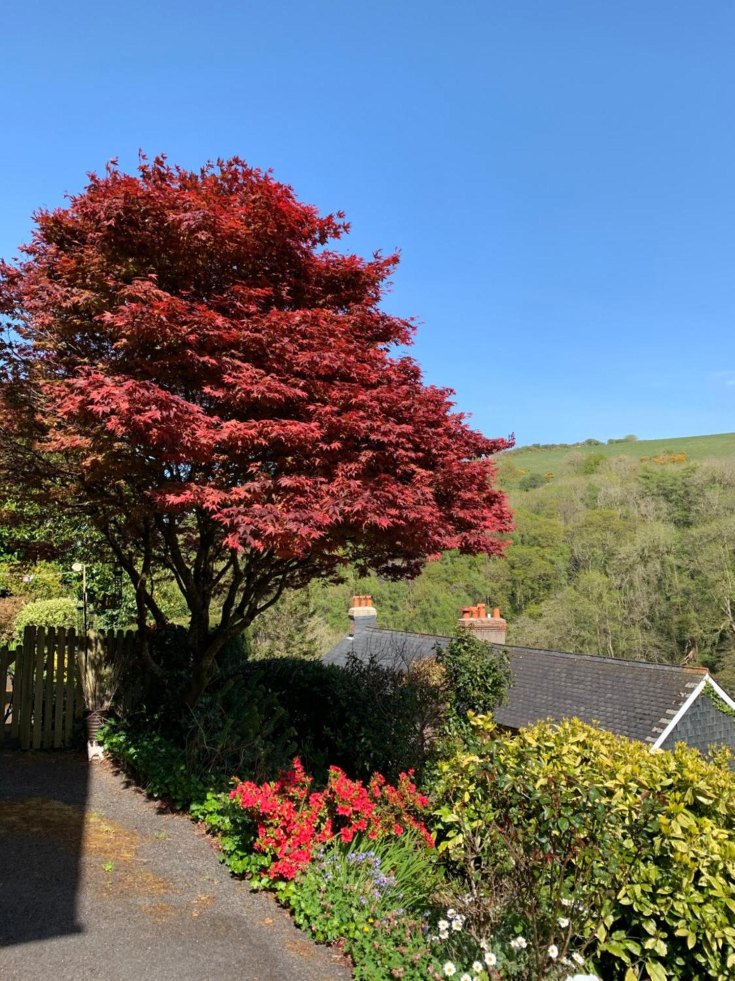 Pine Lodge Lynton Kültér fotó