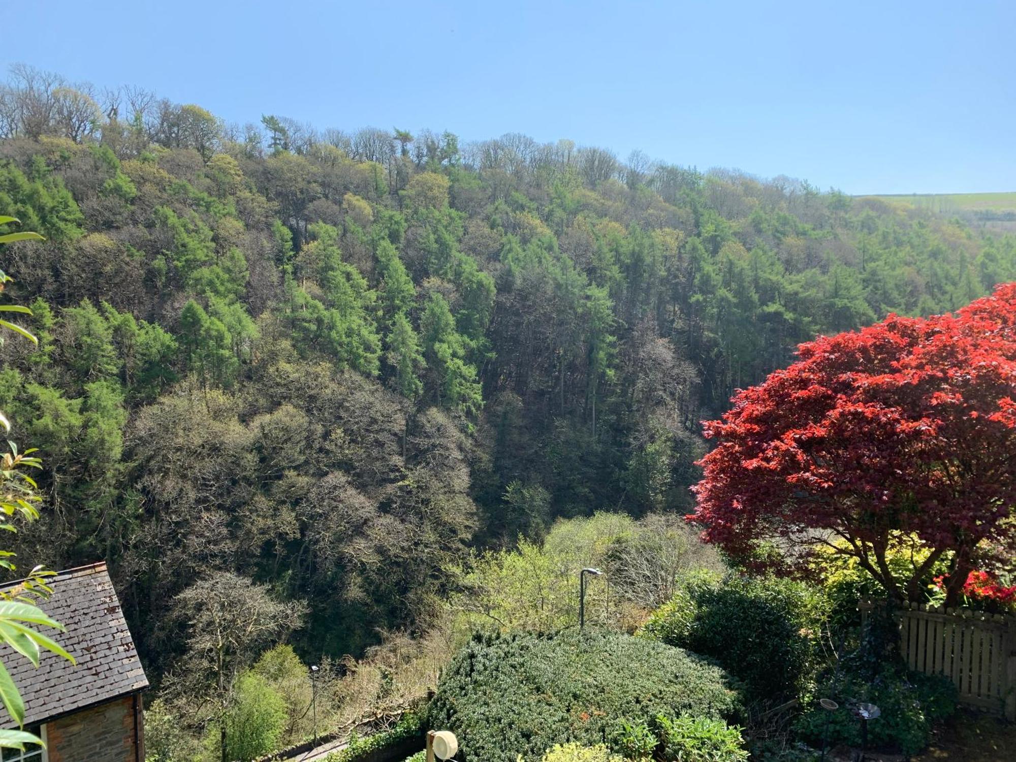 Pine Lodge Lynton Kültér fotó